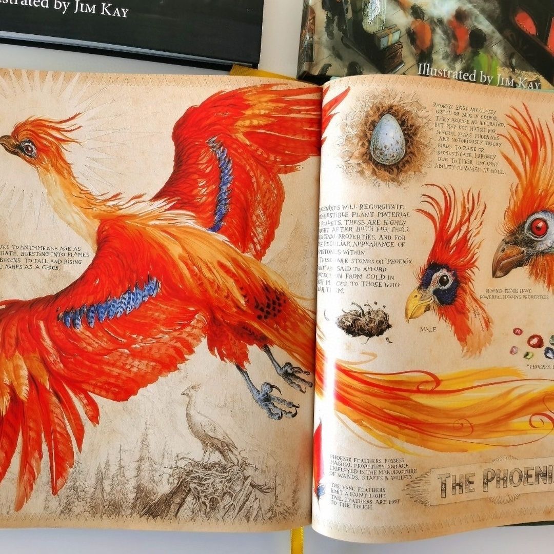 Harry porter sách tiếng anh bản màu - 5 cuốn