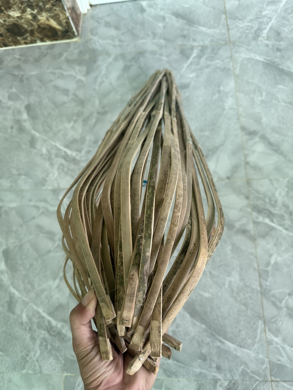 Fishing Rod for Snakehead Fish, Catfish Type 1