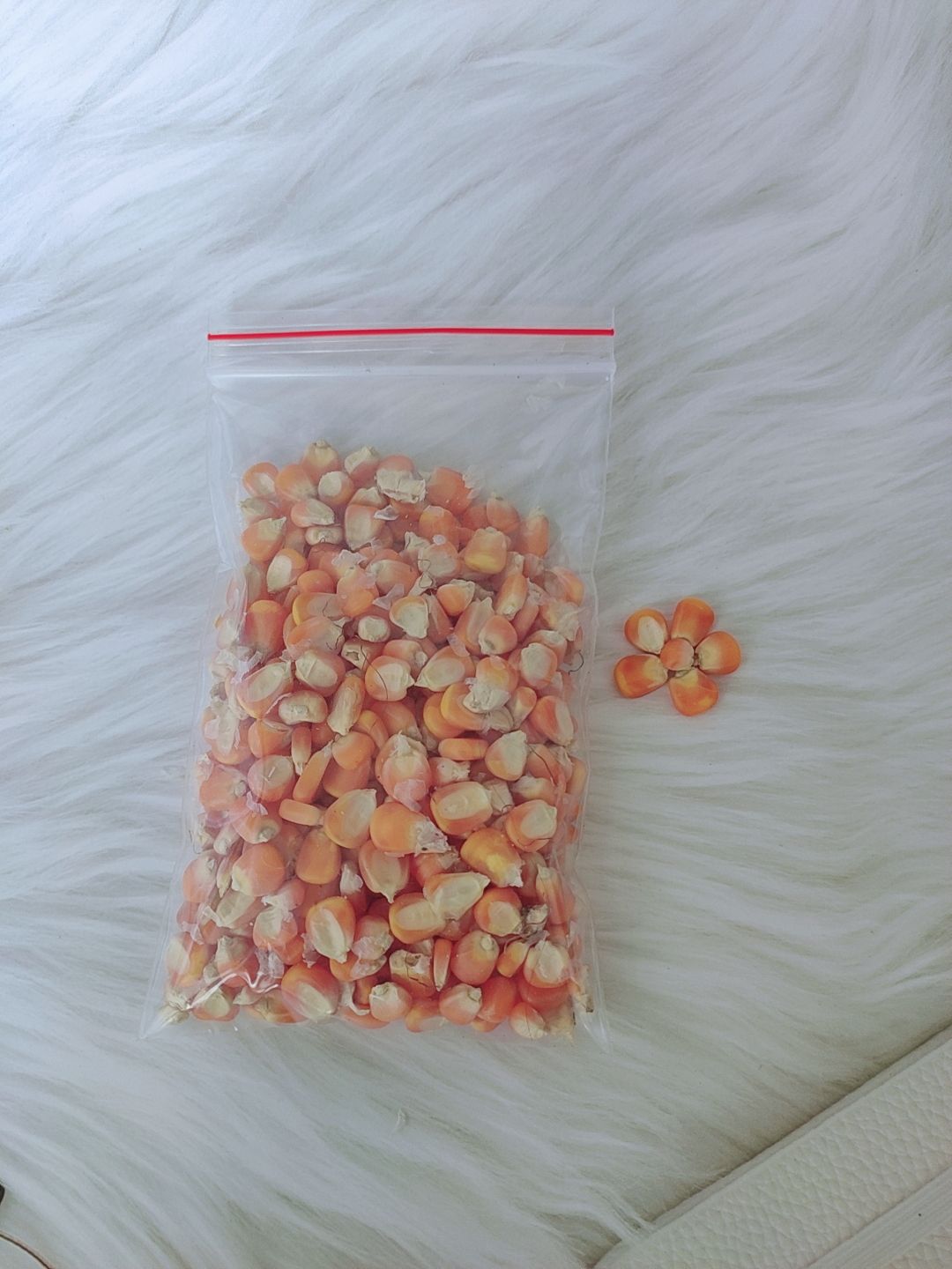 Mài răng cho hamster - Bắp hạt - 100gr