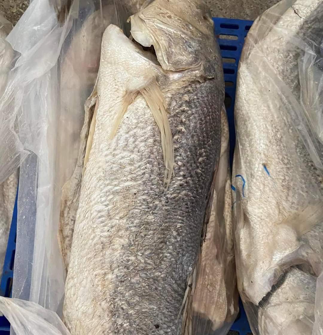 Mắm cá sửu size cá lớn 1 con từ 1kg - 1.5kg, mắm thơm , chắc thịt, dùng làm cơm chiên cá mặn, chứng mắm,..., Khô Thoại Sơn