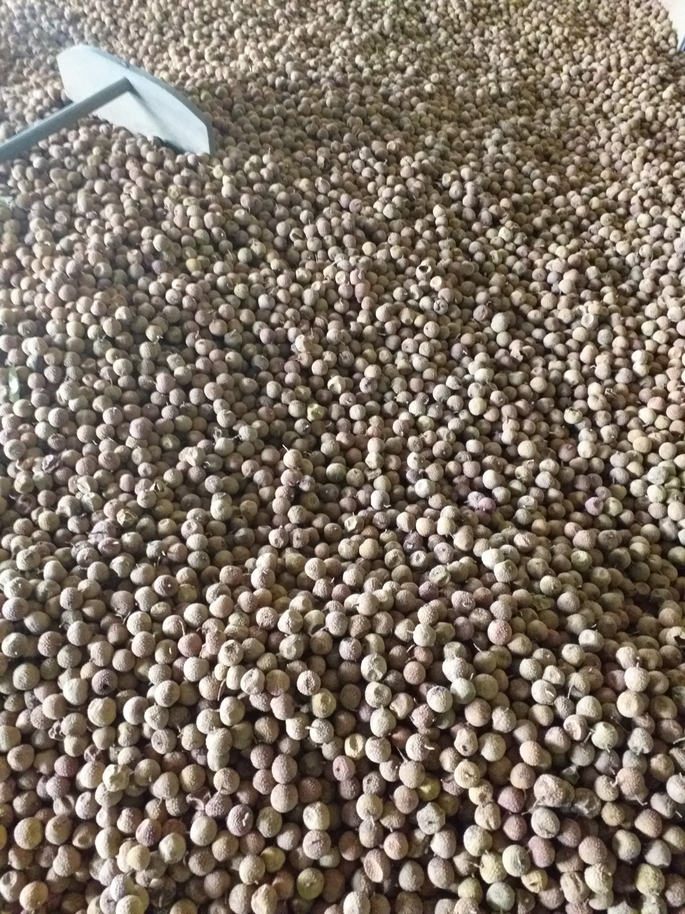 [Vải KHÔ Bắc Giang 1kg mới] Vải Thiều sấy khô nguyên quả