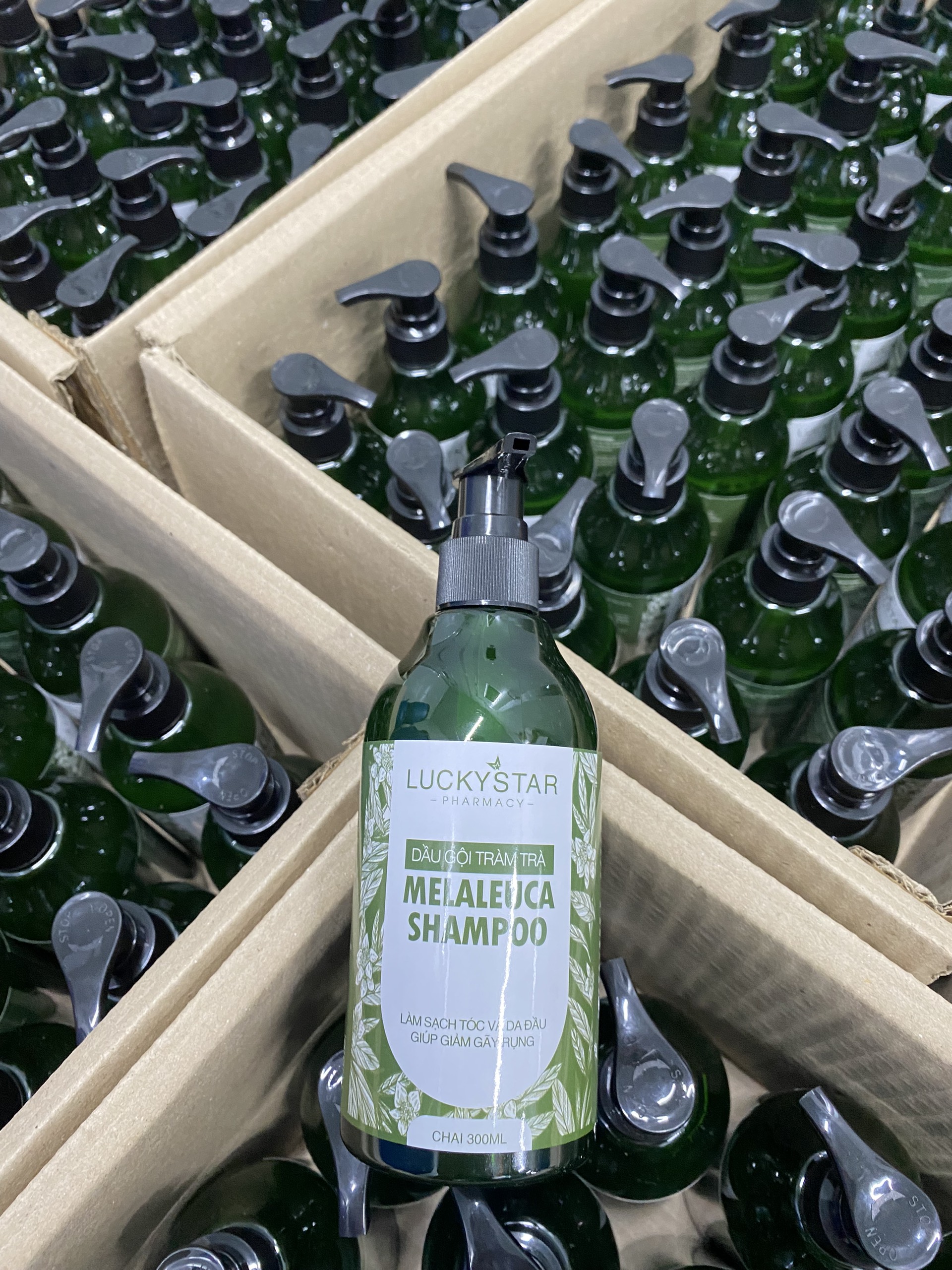 [MUA DẦU GỘI TẶNG TBC] Dầu Gội Tràm Trà 300ml - Lucky Star