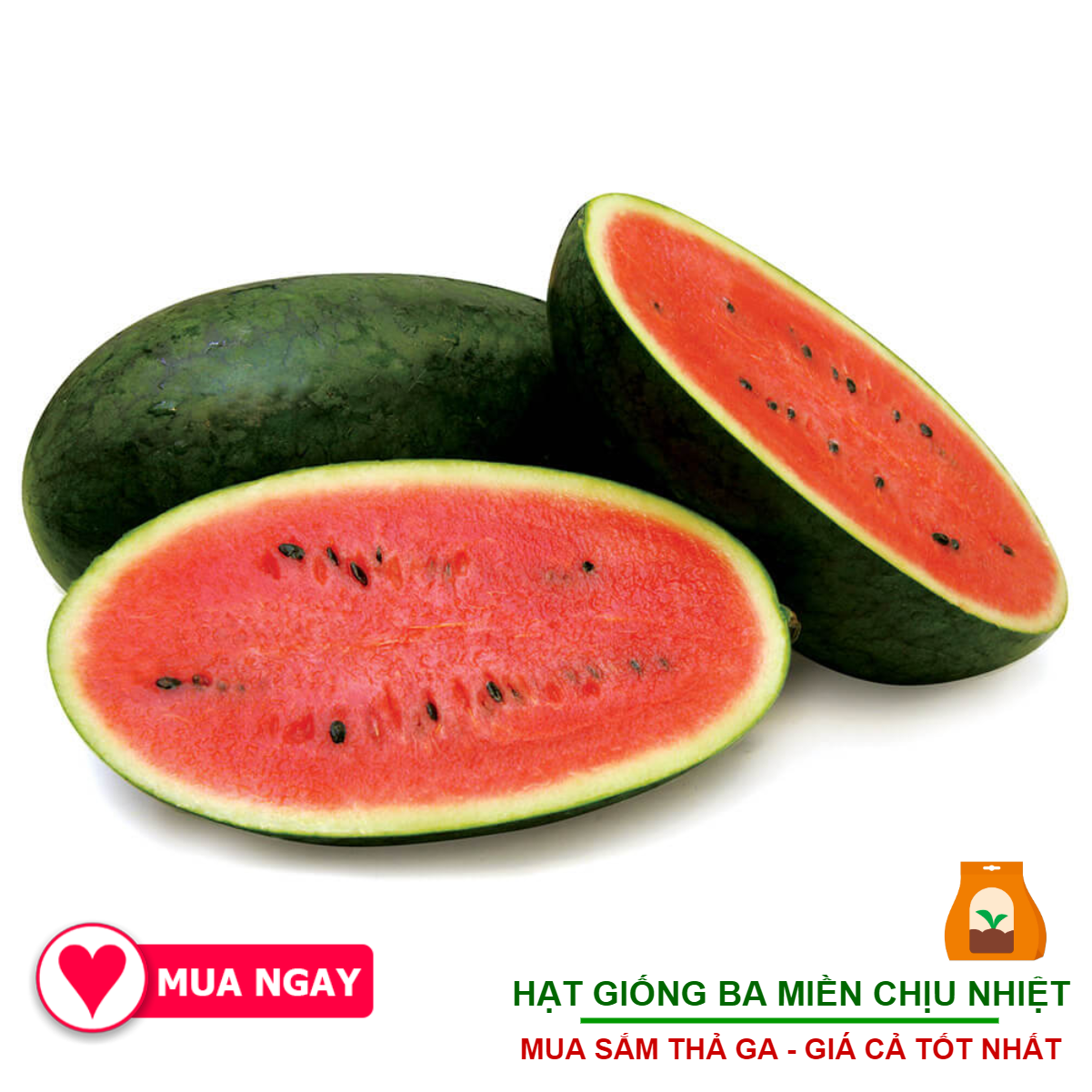 2G - Hạt Giống Dưa Hấu F1 Năng Suất Cao