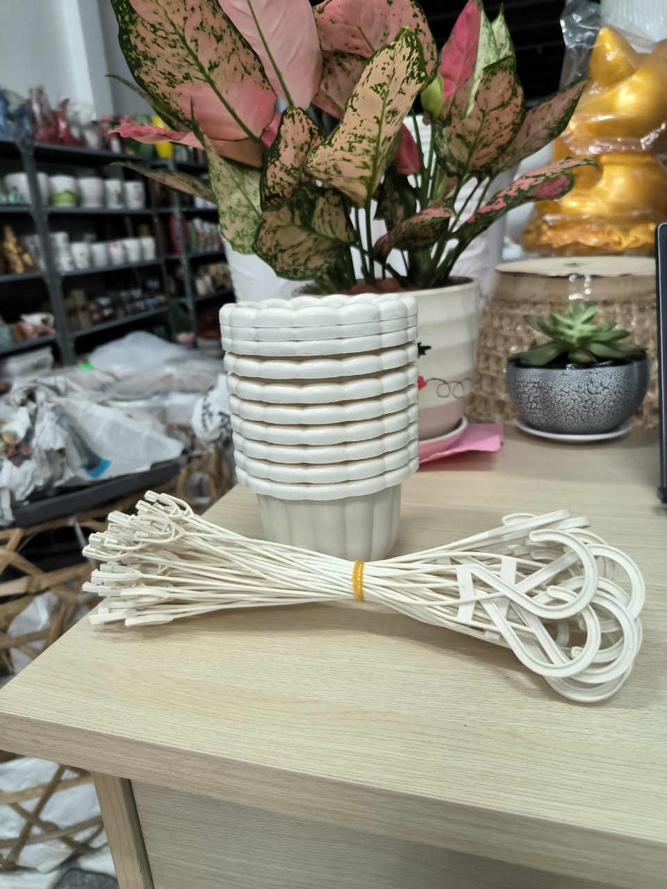 Combo 10 chậu bí mini đường kính 11 cm, cao 8 cm màu trắng