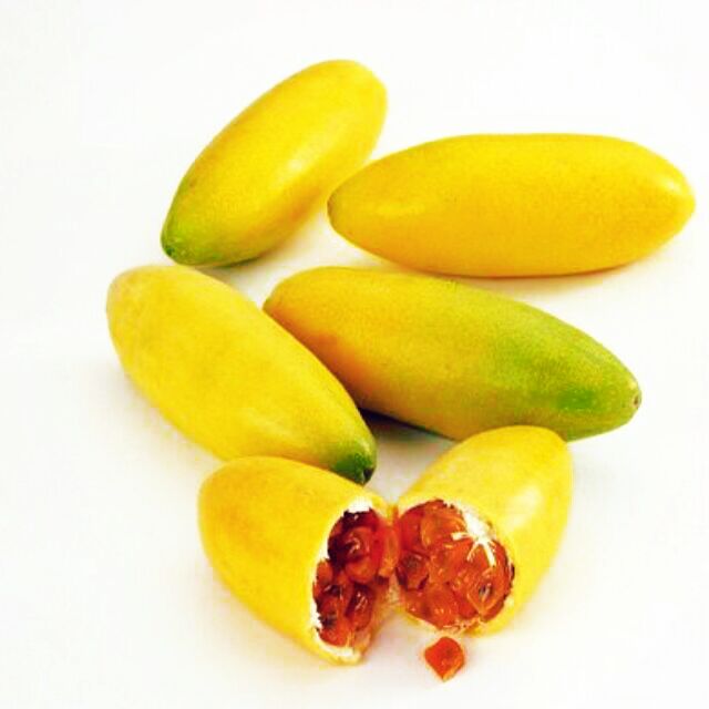 MJ382 GÓI 4 Hạt Giống Chanh Dây Leo Chuối Banana Nam Mỹ