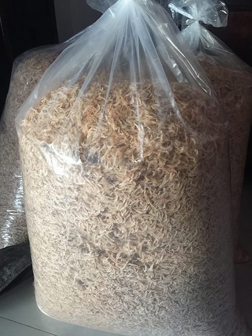 [combo 2 gói 500gram] - RUỐC KHÔ / TÉP KHÔ ĐẶC SẢN ĐÀ NẴNG