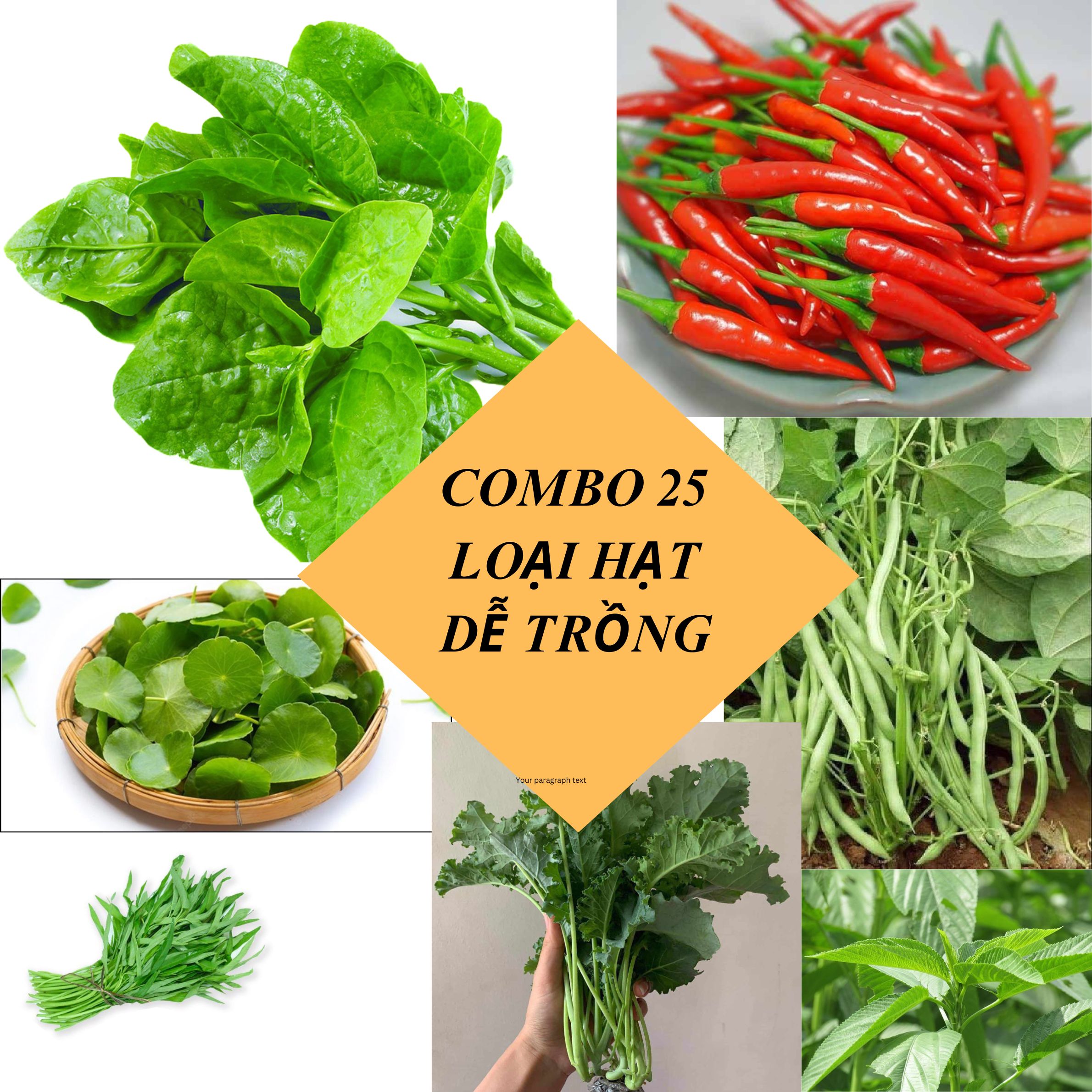 Combo 25 loại hạt giống rau củ quả dễ trông trong Chương trình Deal 1K - Tập làm vườn cùng Tạ Gia Trang