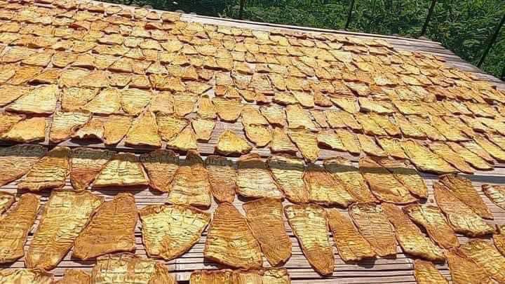 Măng khô ( Măng mầm ) Tây Bắc