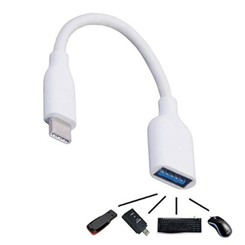 Cáp chuyển USB Type-C sang USB 3.0 âm