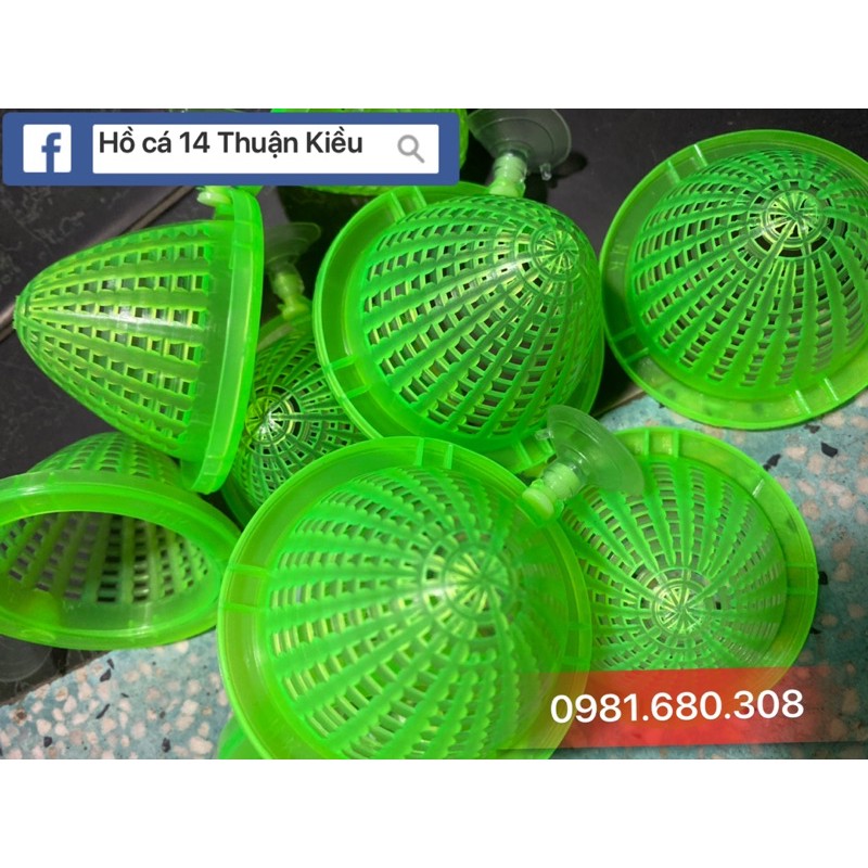 Rỗ nhựa đựng trùng chỉ cho cá ăn