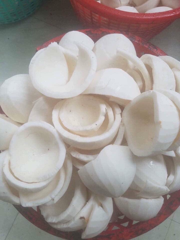 DẦU DỪA BẾN TRE NGUYÊN CHẤT
