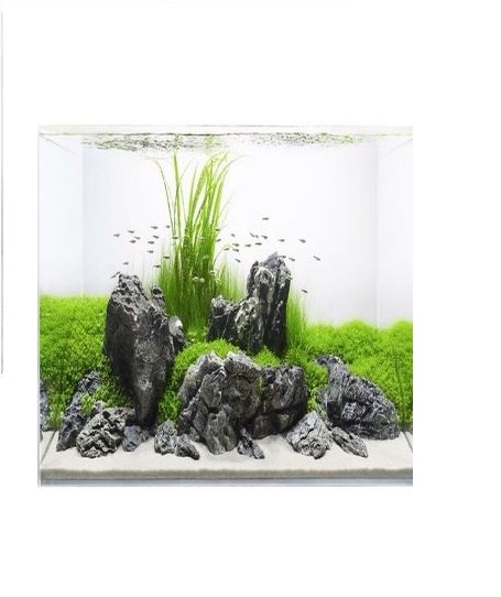 Đá kẹp kem 1 kg - setup hồ thủy sinh, trang trí bể cá