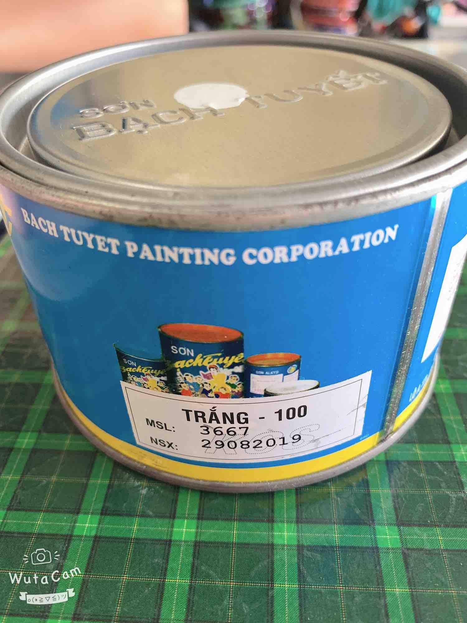 Sơn dầu Bạch Tuyết màu trắng-100 (Ankyd bóng 400gr)