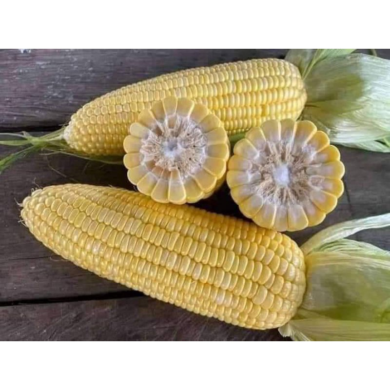 Hạt giống bắp Mỹ (ngô ngọt) Thái Lan gói 110 hạt( hạt giống Nhập khẩu)