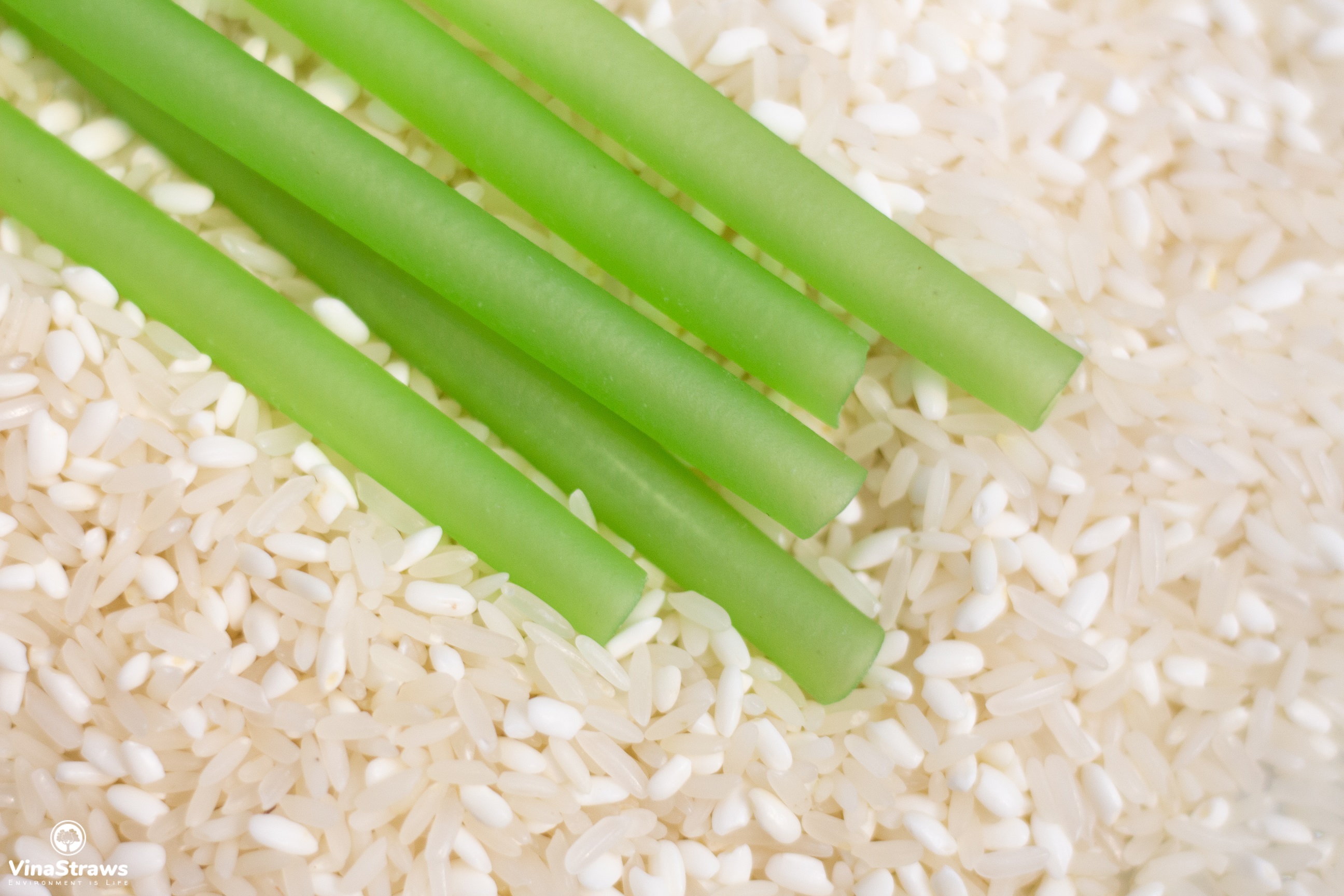 Ống hút gạo Rice Straws ( Hộp 50 ống hút gạo thân thiện với môi trường)