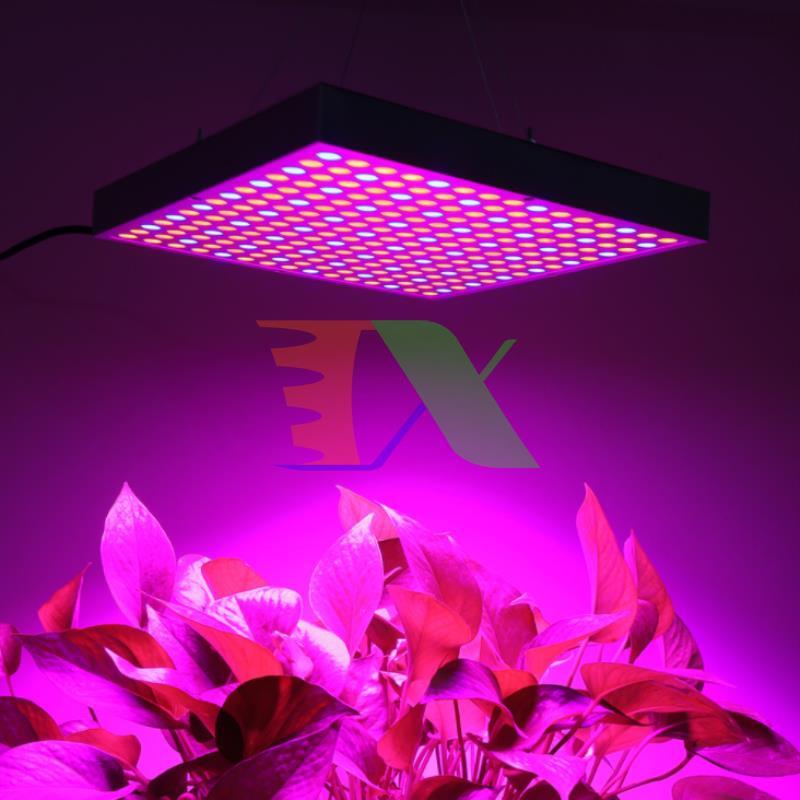Led grow light (GC-45W)