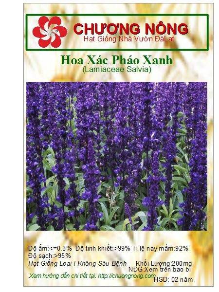 Hạt giống hoa xác pháo xanh gói 100 hạt