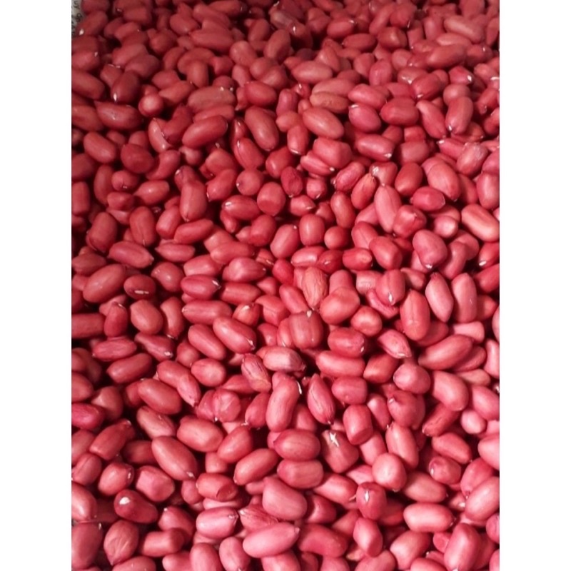1 kg lạc đỏ quê bóc vỏ hạt đều chắc