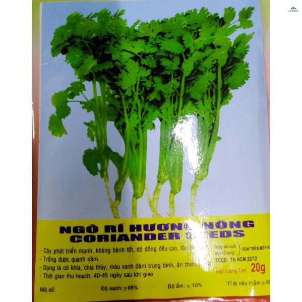 HẠT RAU NGÒ RÍ - GÓI 20 GRAM
