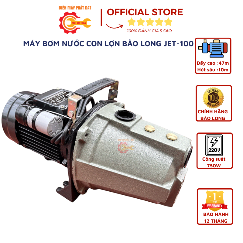 Máy bơm nước con lợn bảo long jet-100