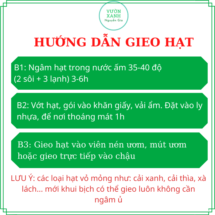 Hạt giống Rau Muống Lá Dài - Bịch 50gr