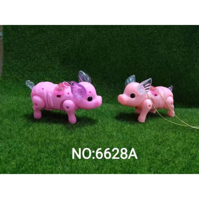 Heo chạy bin có nhạc