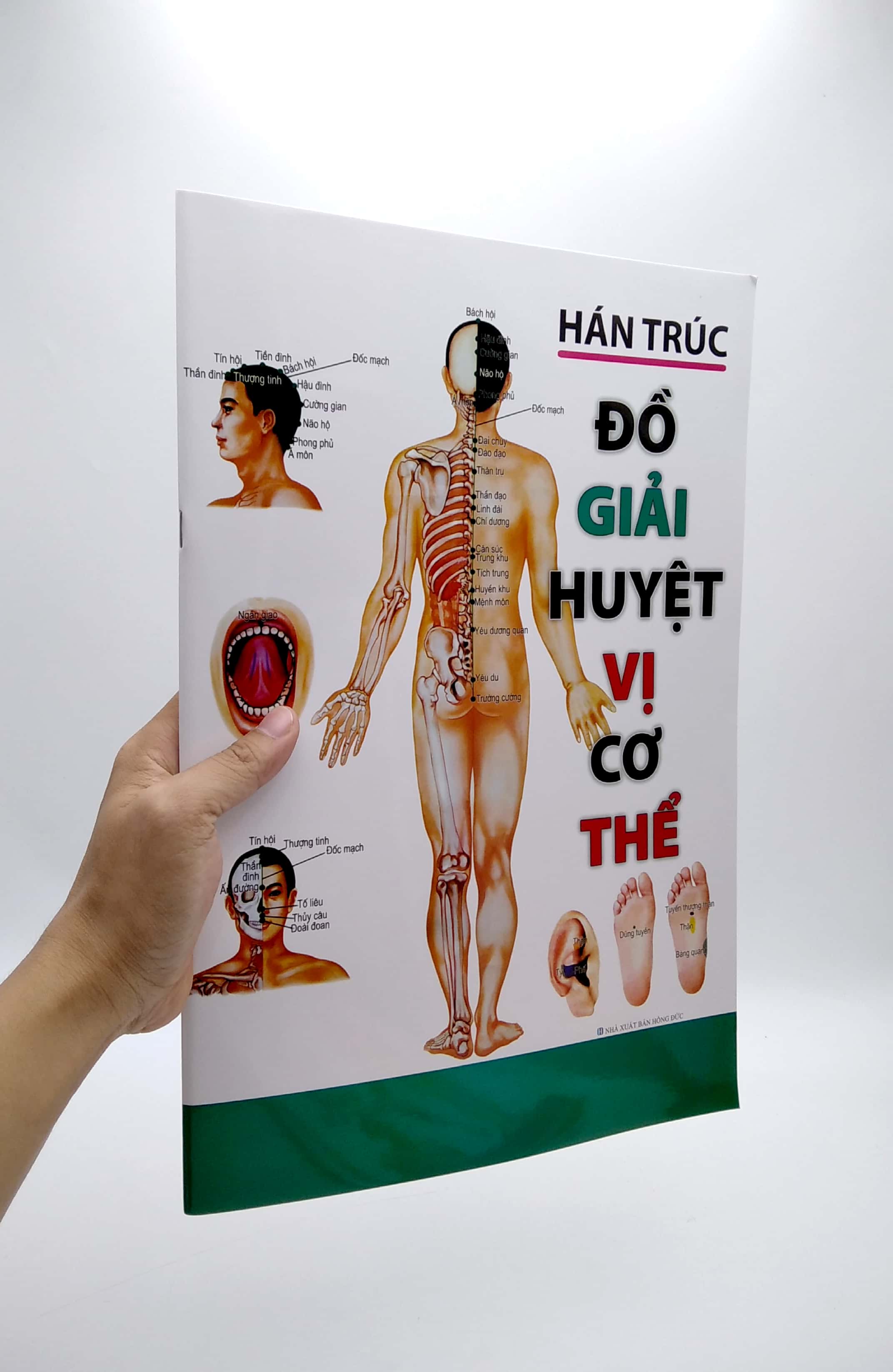 Sách - Đồ Giải Huyệt Vị Cơ Thể - ML