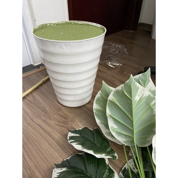 Combo Chậu trắng + xốp phủ rêu xanh