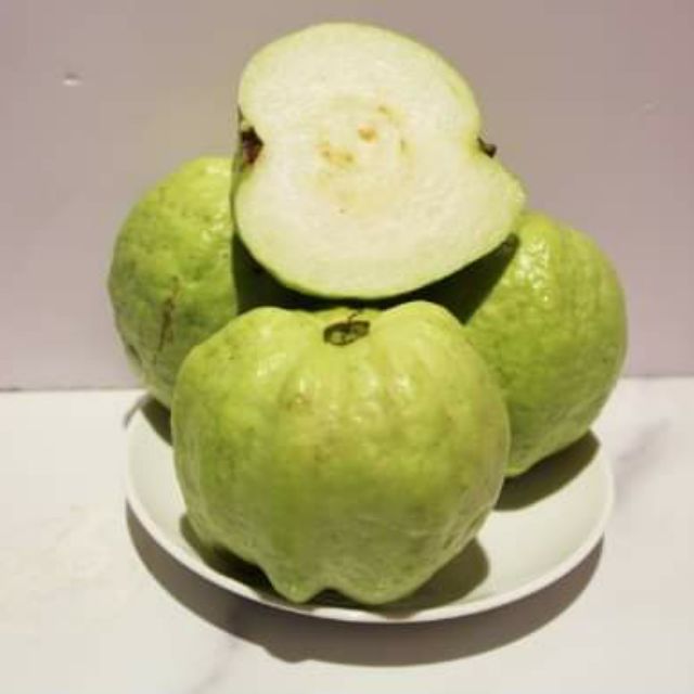 Giá Gốc - Ổi Nữ Hoàng... đang trái