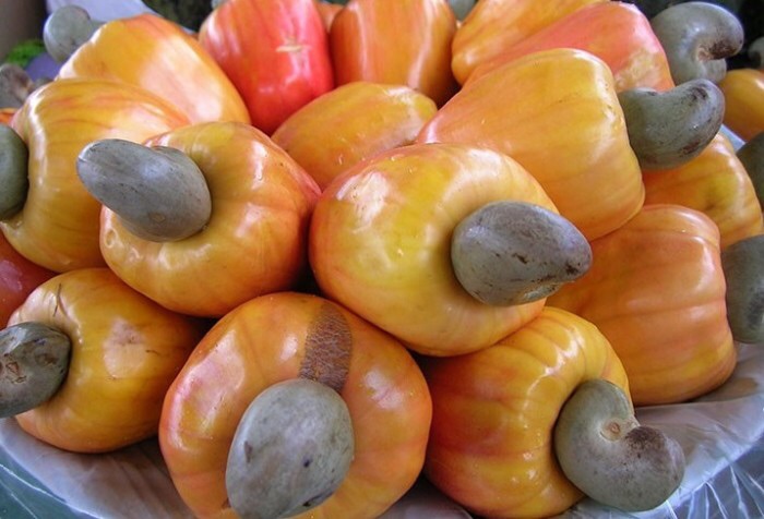 Trái điều tuoi