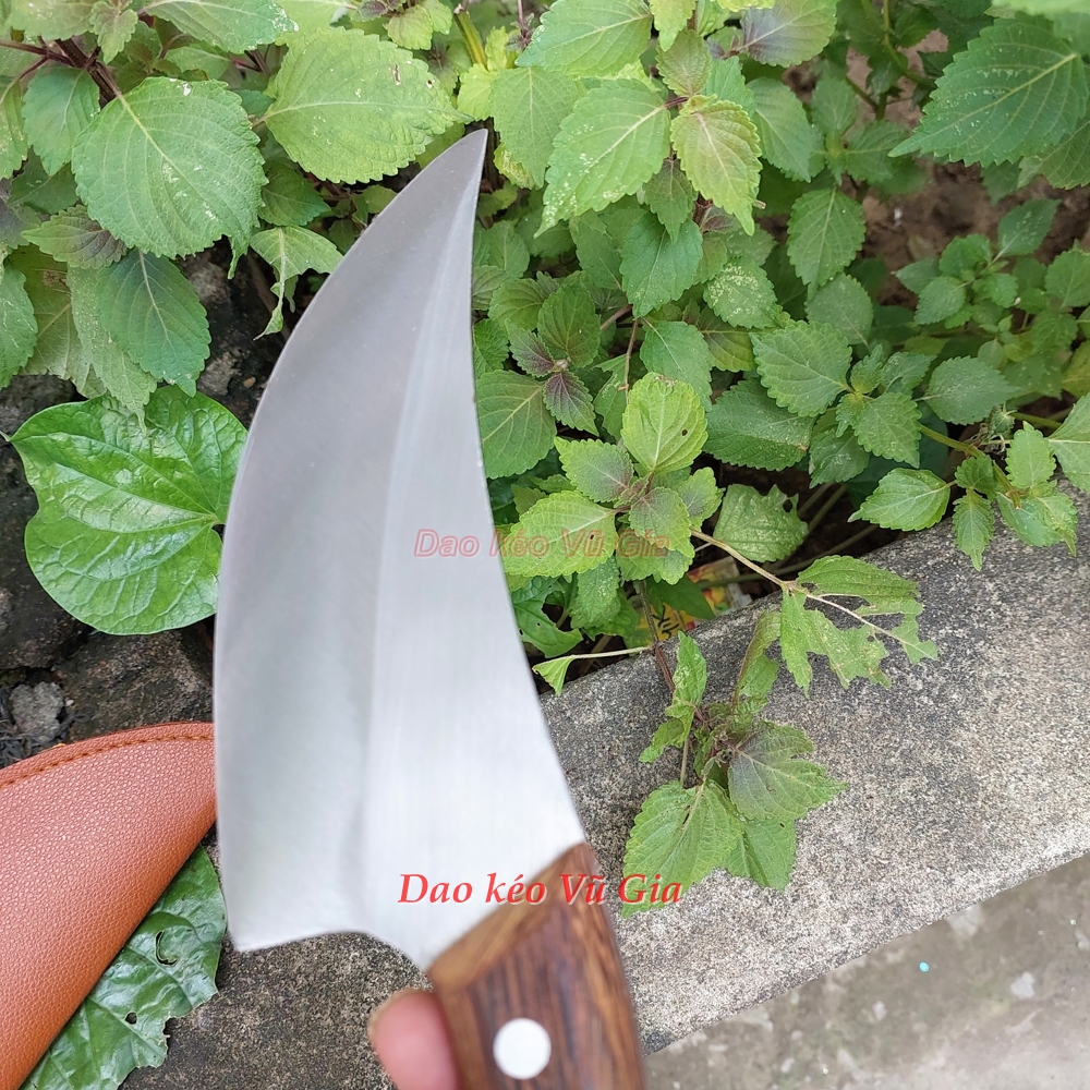 Dao lọc thái thịt thép nhíp hình s