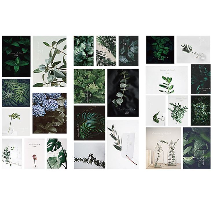 Bộ 3 tấm sticker nhãn dán lá cây