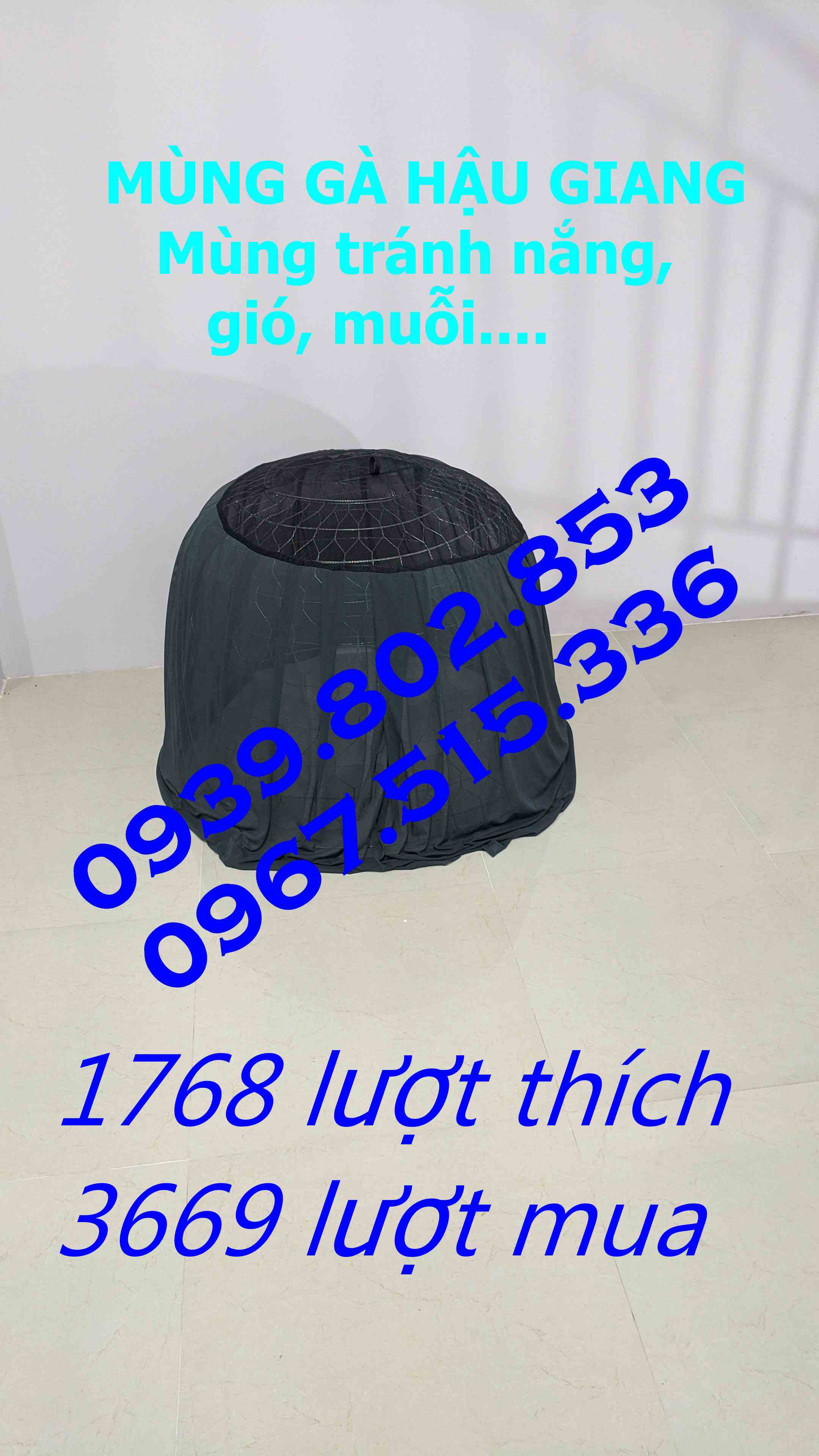 mùng trùm bội gà tre 90cm