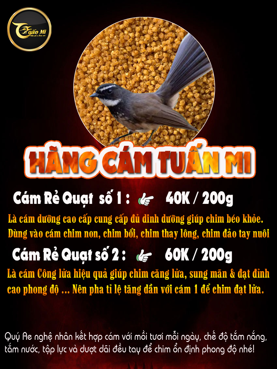 Cám Rẻ Quạt căng lửa số 2 (Thương hiệu Tuấn Mi)