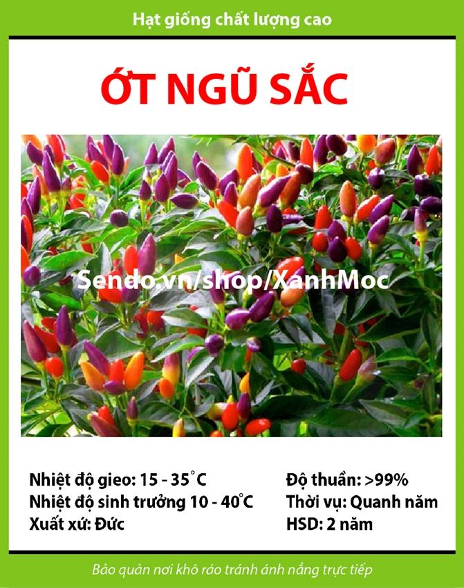 Hạt giống Ớt ngũ sắc