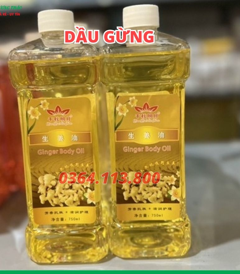 Tinh Dầu Gừng Massage Body 750ml