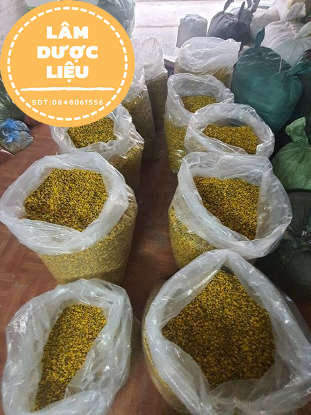 [HÀNG CAO CẤP] 100g Trà Hoa Cúc Sấy Khô