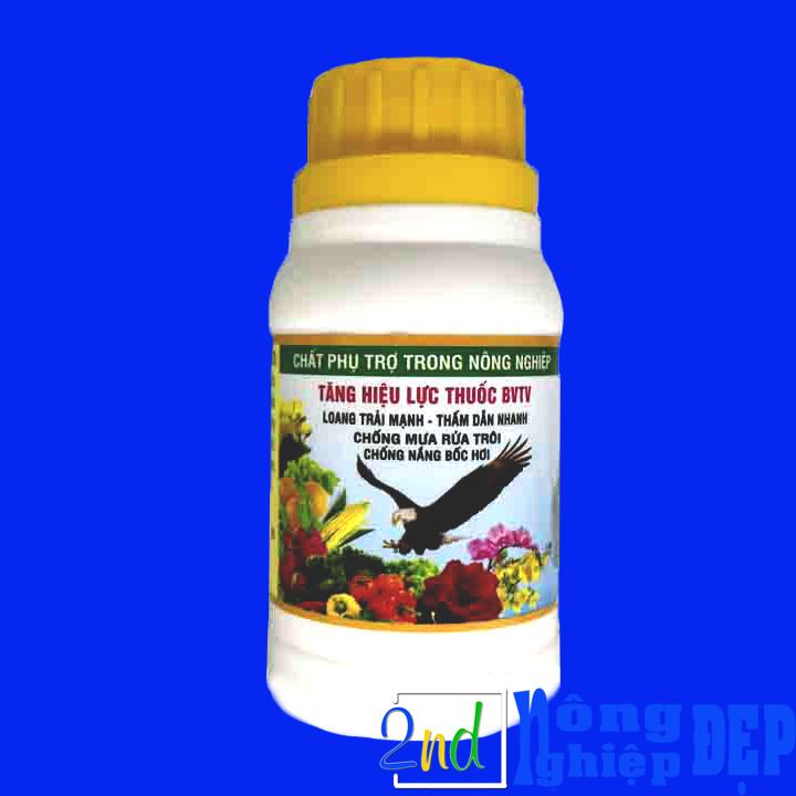 Lưu Dẫn Đại Bàng -Thấm Dẫn Nhanh