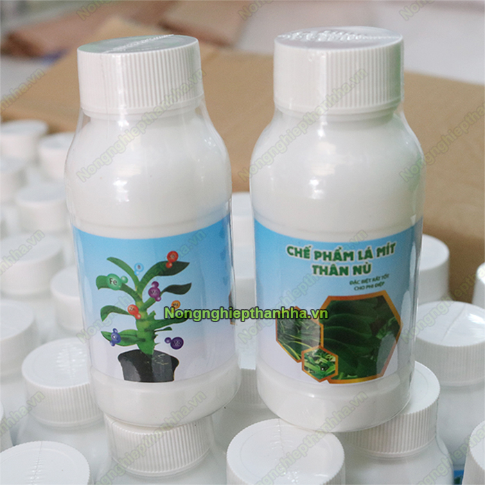 Chế phẩm lá mít thân nù dưỡng to dày lá - T154