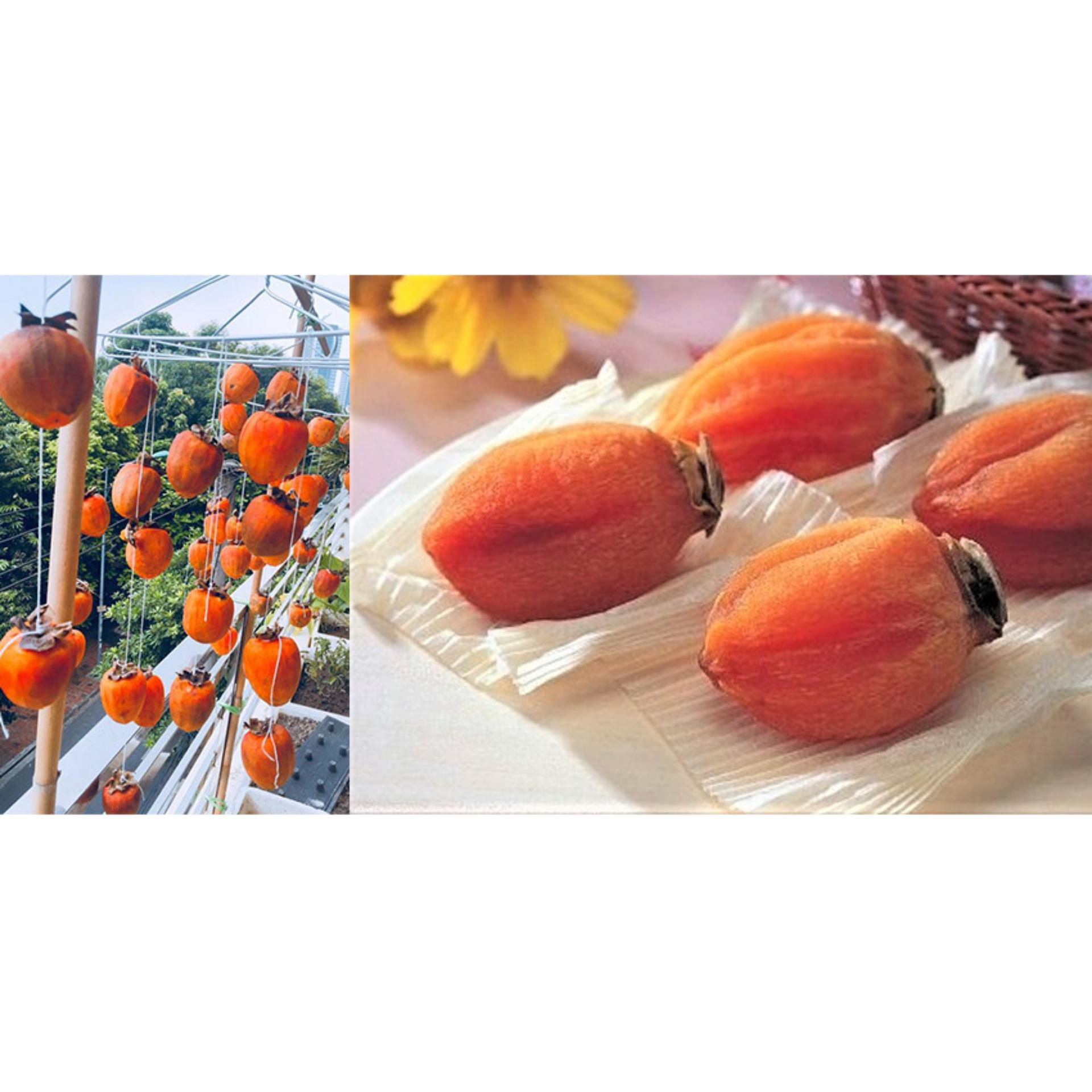 Hồng Treo Gió ĐÀ LẠT  500gr