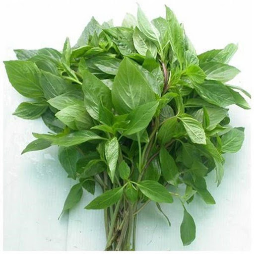 Túi 1 Gram Hạt Giống rau Húng quế