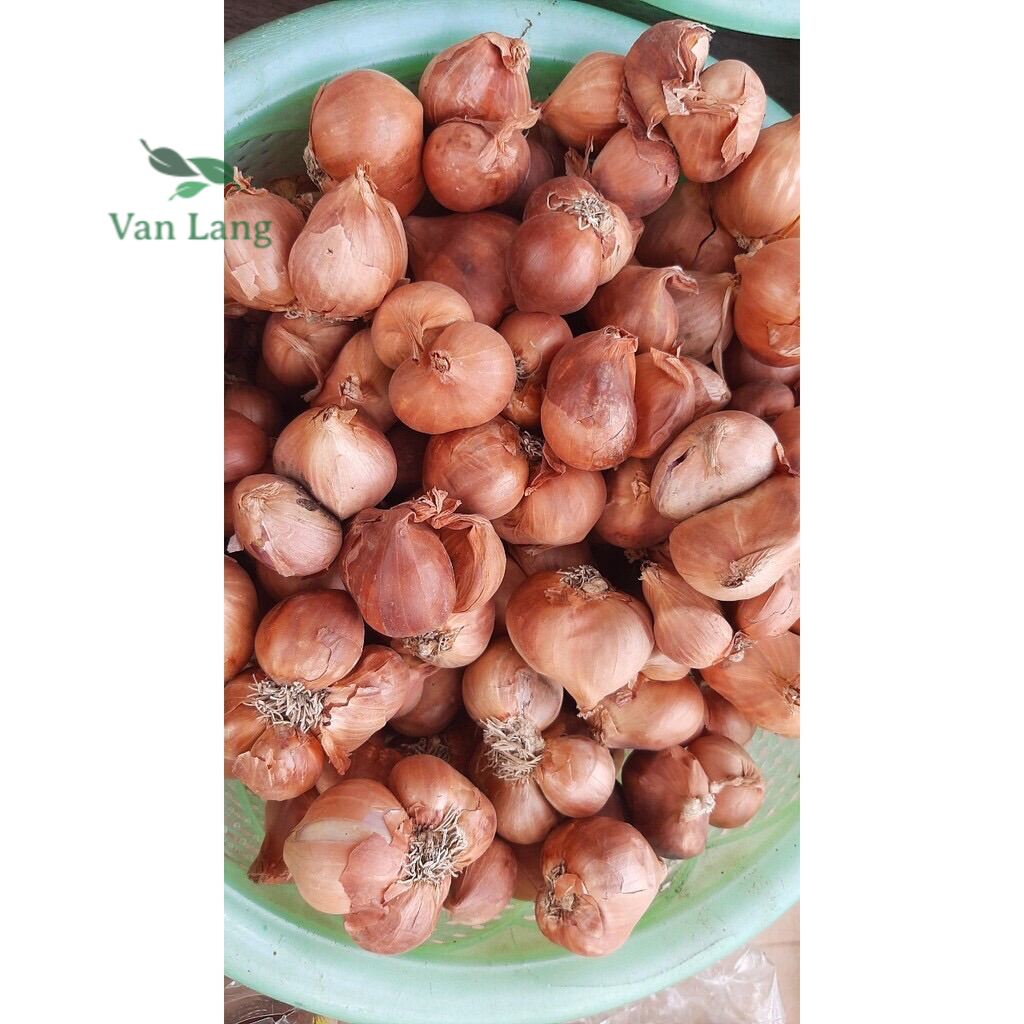 1kg hành ta khô chắc củ thơm để được lâu