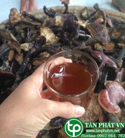 Nấm lim xanh rừng khô 100g - tấn phát