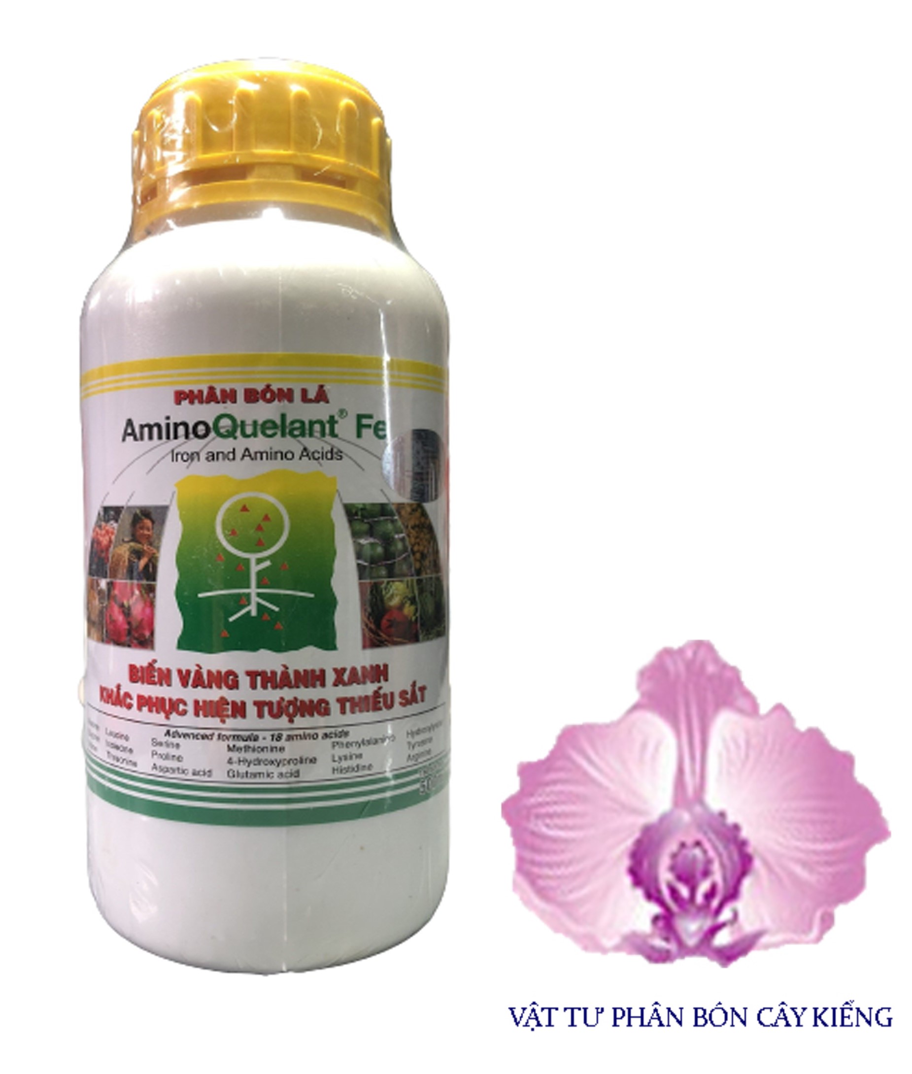 Phân bón lá amino quelant fe - #066a# 500ml