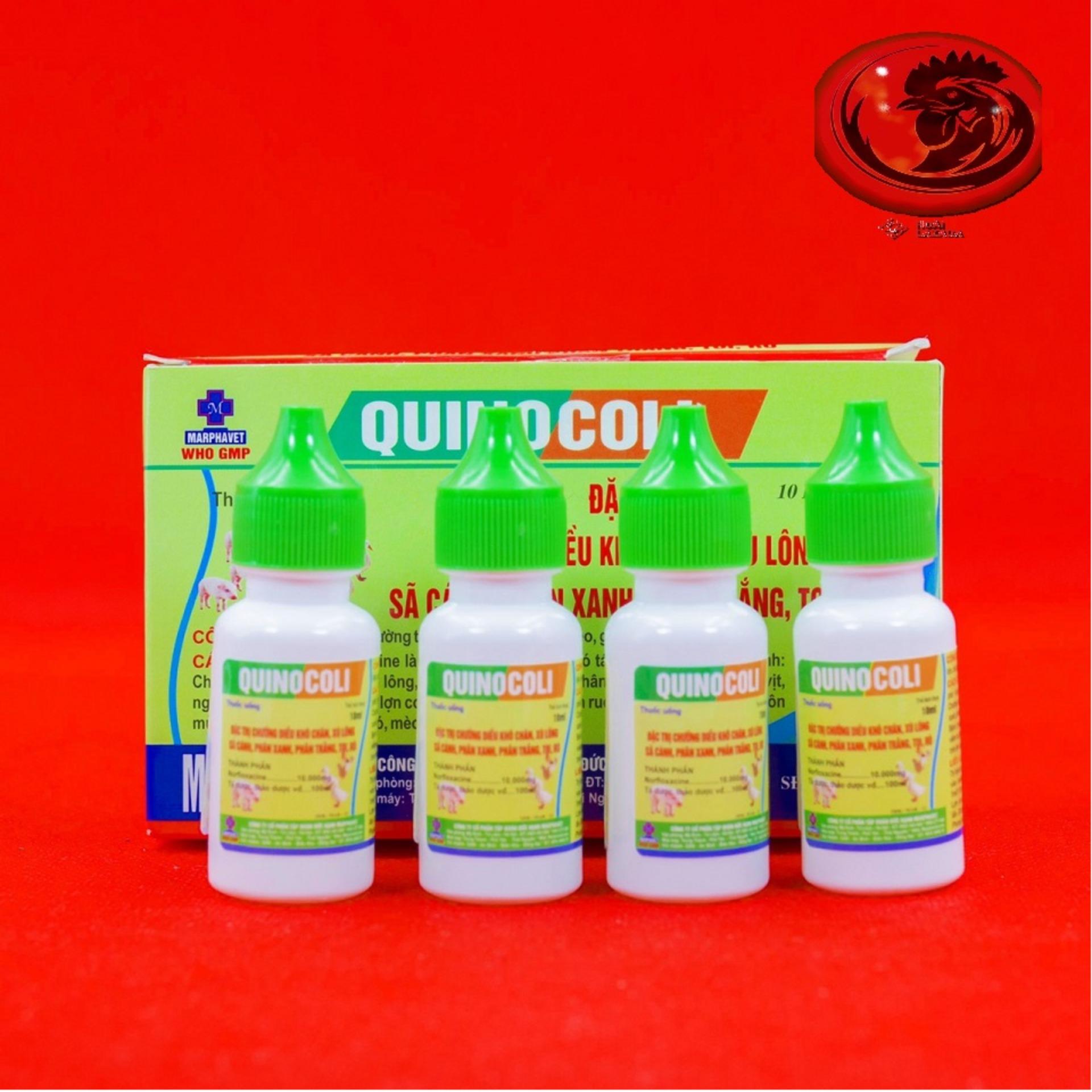 COMBO 4 LỌ QUINOCOLI đặc trị phân xanh, phân trắng cho gà đá