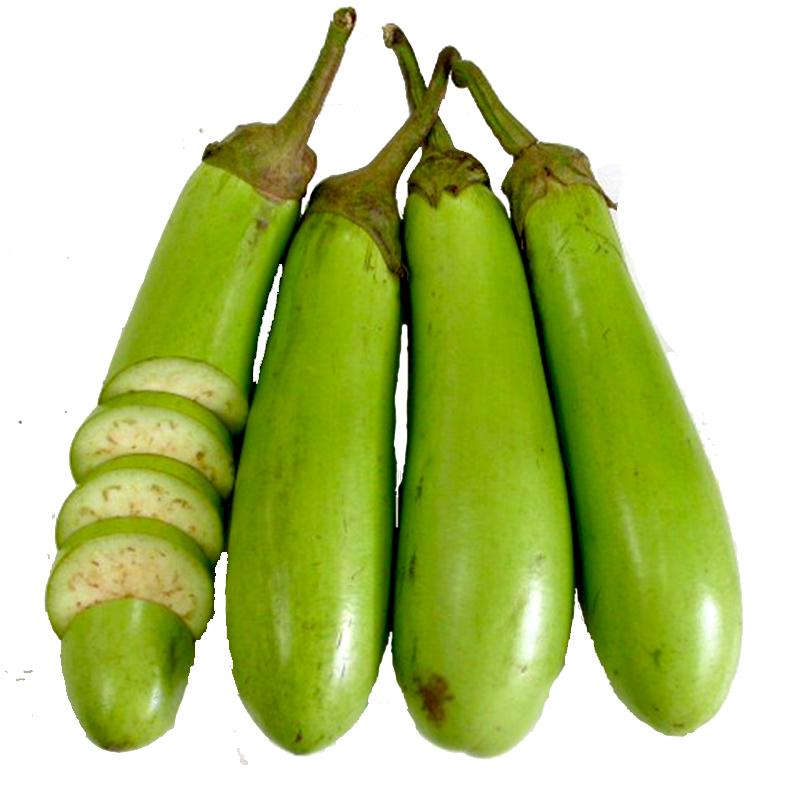 [HCM]Gói 0.2gr Hạt giống cà xanh Mỡ