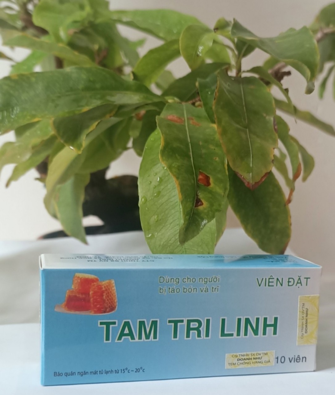 Tam Tri Linh viên đặt xóa tan trĩ và táo bón