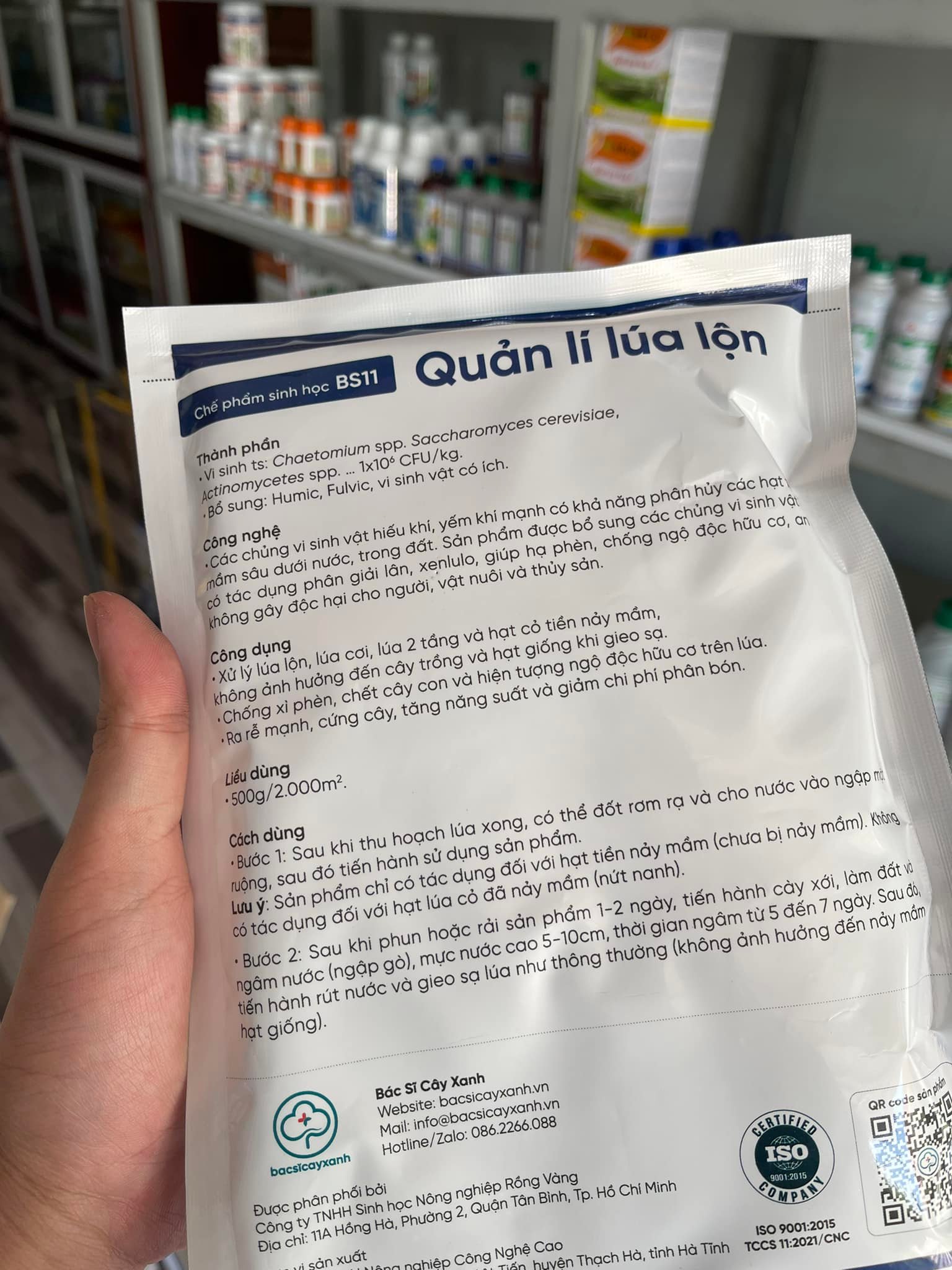 Chế phẩm BS11 - Quản lý lúa lộn: Xử lý lúa ma, lúa lộn, lúa cơi, lúa hai tầng