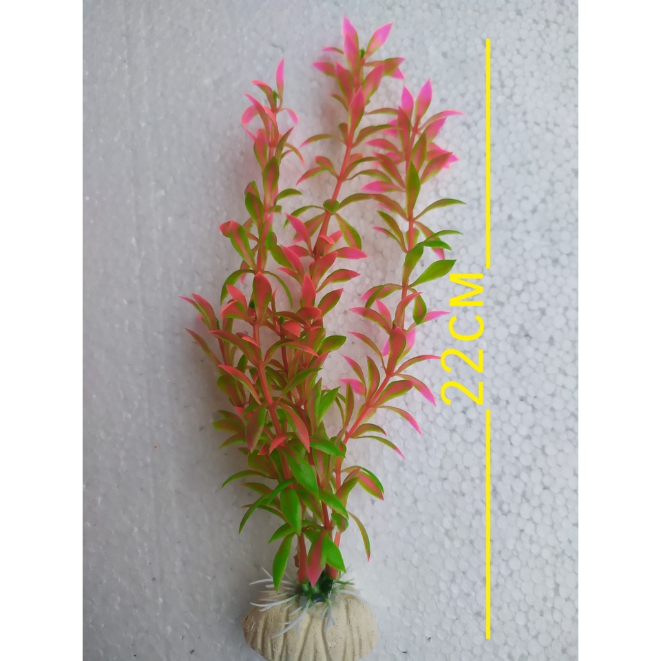 Cây rong cao 22 cm trang trí hồ cá bể cá-hòn non bộ..