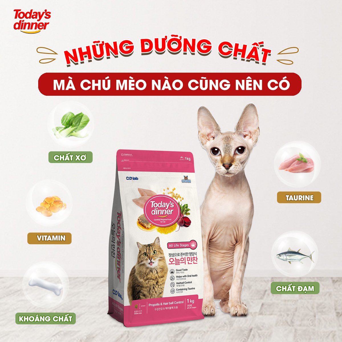 TODAY'S DINNER- Thức ăn hạt cho mèo mọi lứa tuổi gói dùng thử 40g